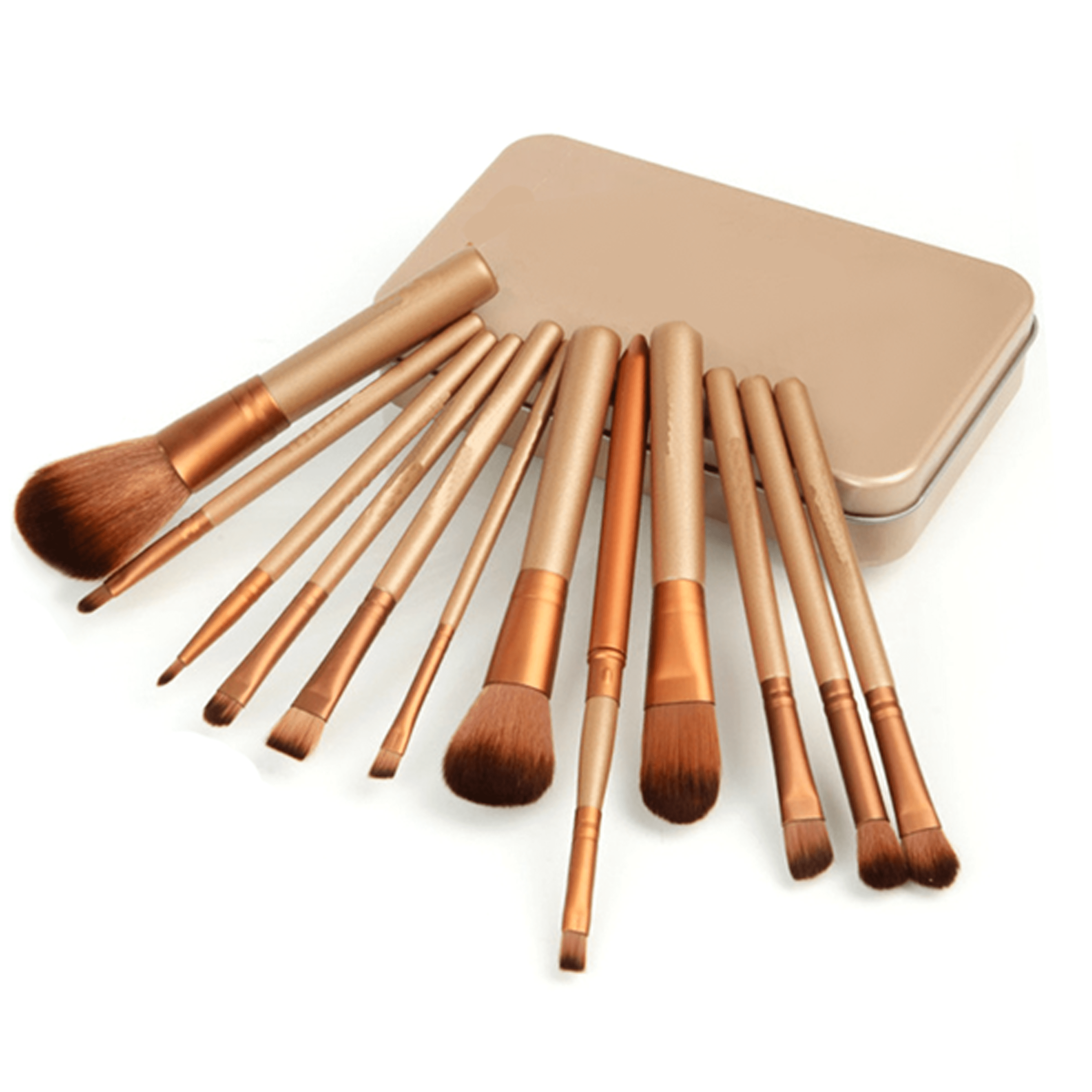 Cosmetic Makeup Blush Brushes Set Of 12 Piece