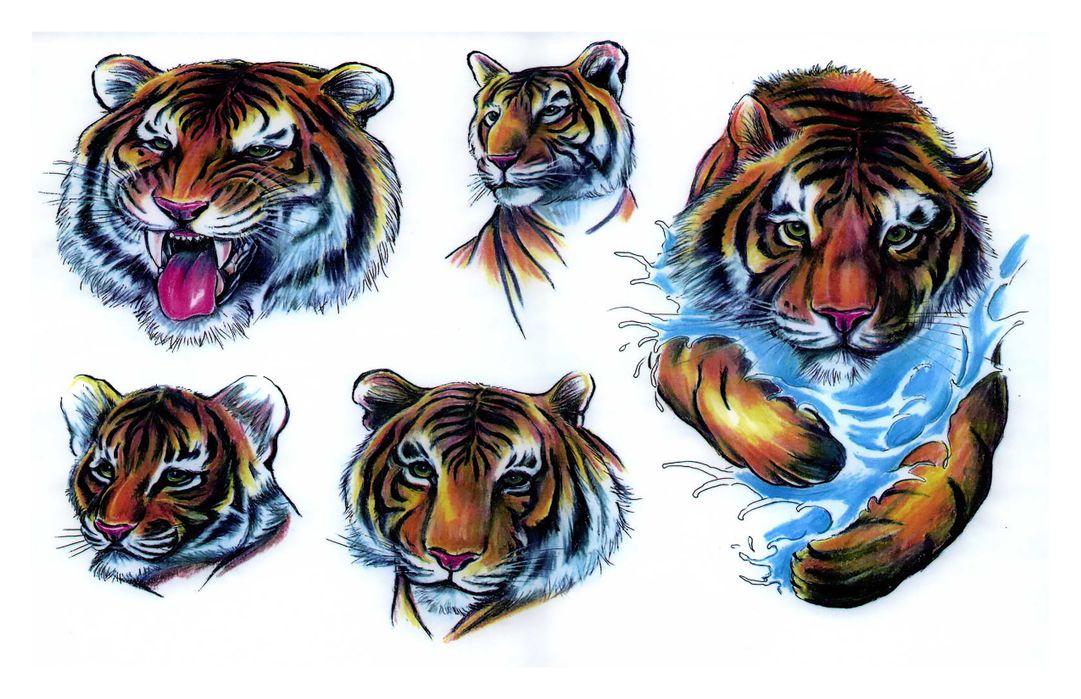 Buy Roar Tiger sticker Tiger stickers Tiger sticker for room