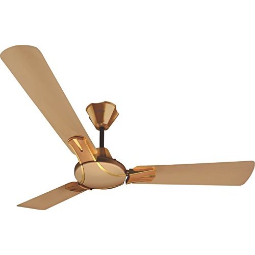 Buy Candes 1200mm High Speed Royal Ceiling Fan (Gold Mist) (100 Copper