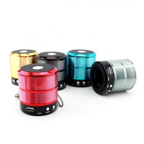 Buy WS887 Mini Bluetooth Wireless Speaker With Mic, FM, Micro SD Card