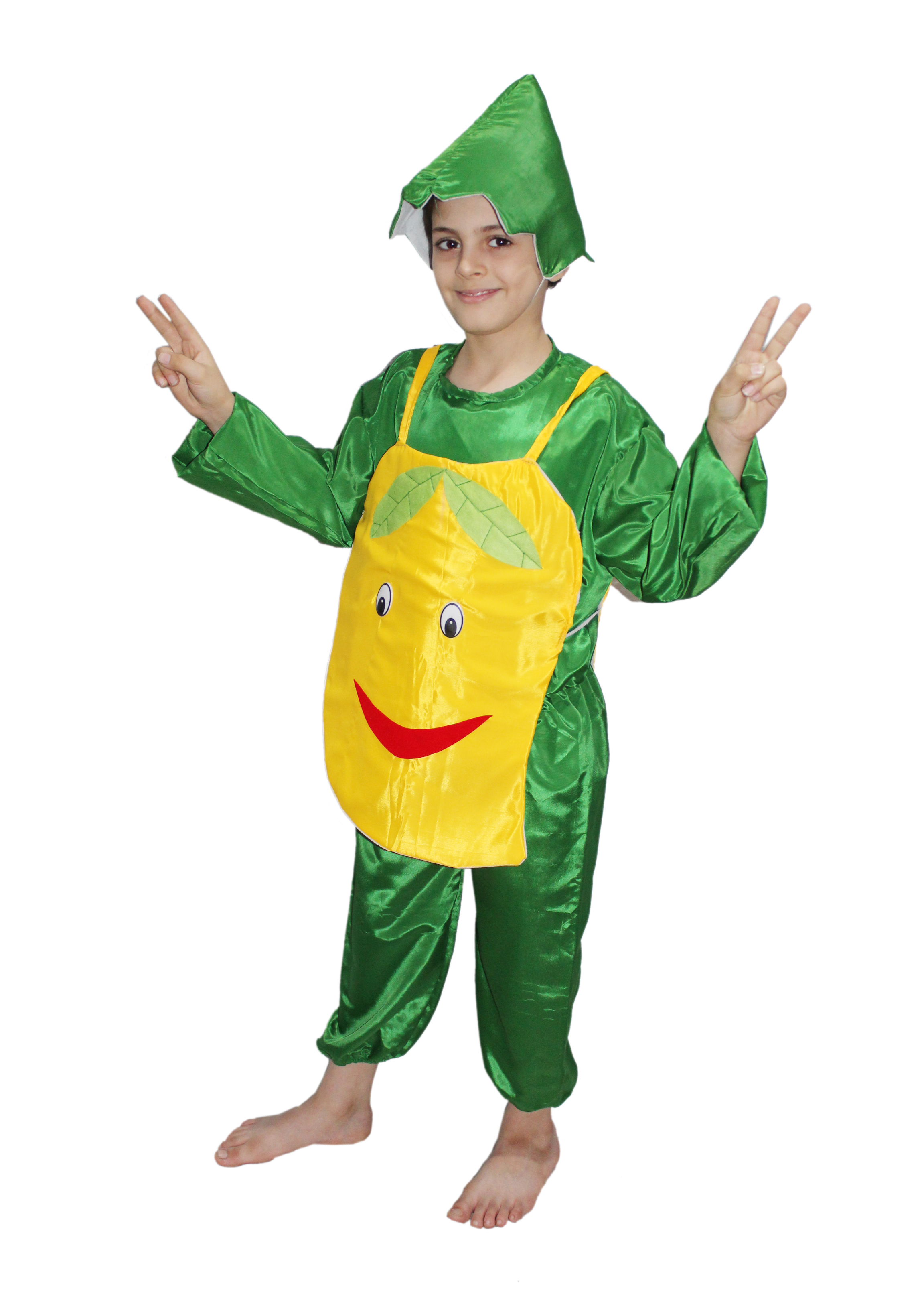 Buy Kaku Fancy Dresses Mango Fruits Costume For Kids School Annual ...