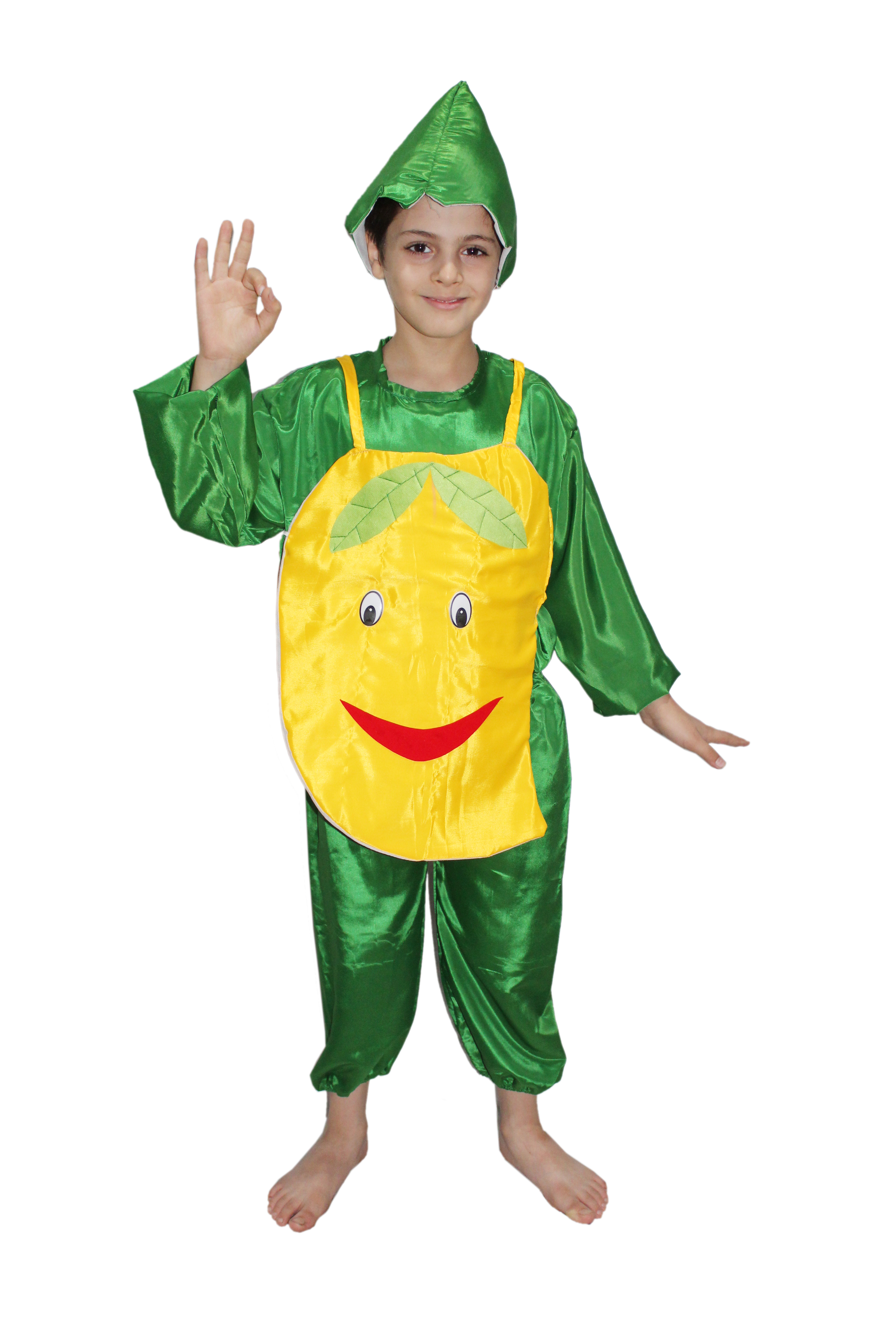 buy-kaku-fancy-dresses-mango-fruits-costume-for-kids-school-annual