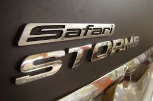 safari storme logo