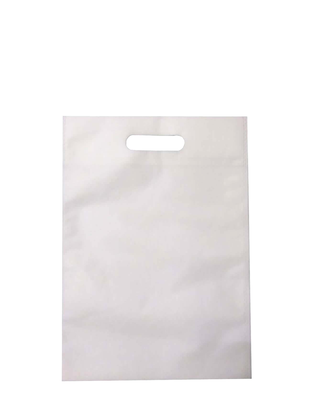 Buy Bitkool Worlds White Non Woven Fabric Carry Bag (Size 12x16) (Pack ...