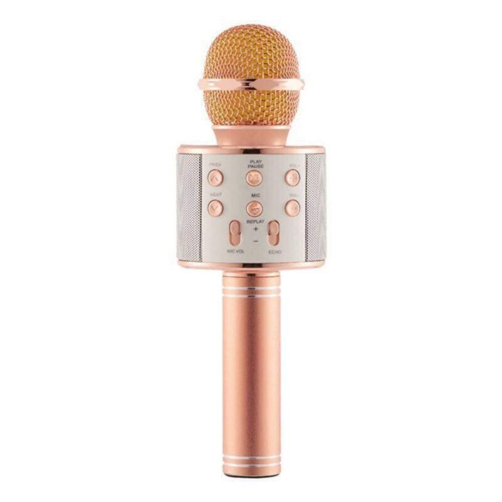 Buy WS-858 Wireless Karaoke Handheld Microphone USB KTV Player ...