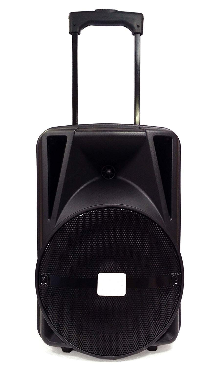 Buy Tech Gear Premium Karaoke PA System Trolley Speaker 12 Inch ...