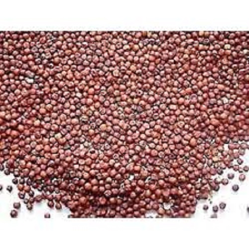 Buy NACHANI / RAGI / MANDUA / MANDIA / SAME / MARUBA DHAN / NAGALI