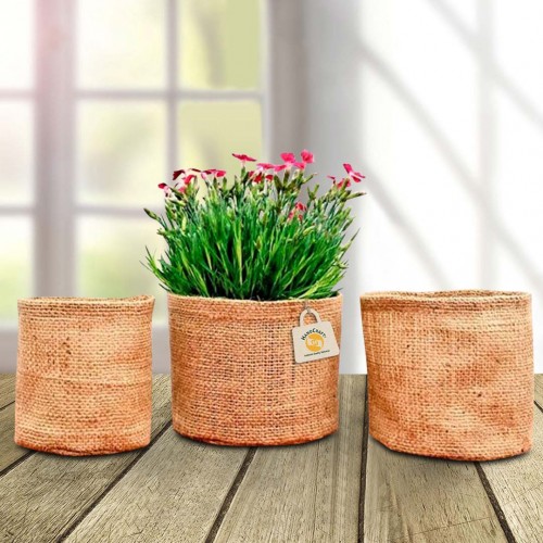 Buy Jute growbagforplants pack of 3 Online ₹299 from ShopClues