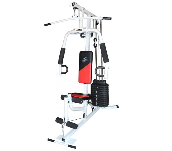 Buy Aerofit 10 In 1 MultiWorkout Home Gym AF 1300B Online ₹24973 from