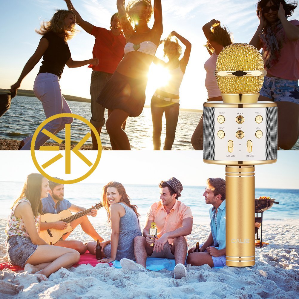 Buy Wireless Bluetooth WS858 Karaoke Microphone MIC For Singing