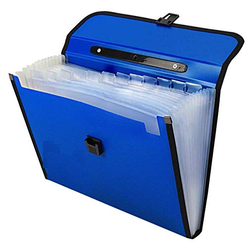 Buy Plastic File Folder With 13 Pockets, Handle, Index Tab, A4 Size ...