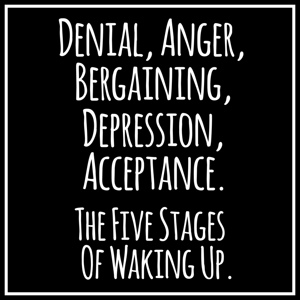 Buy Denial,anger,bergainging,depression,acceptance sticker poster ...
