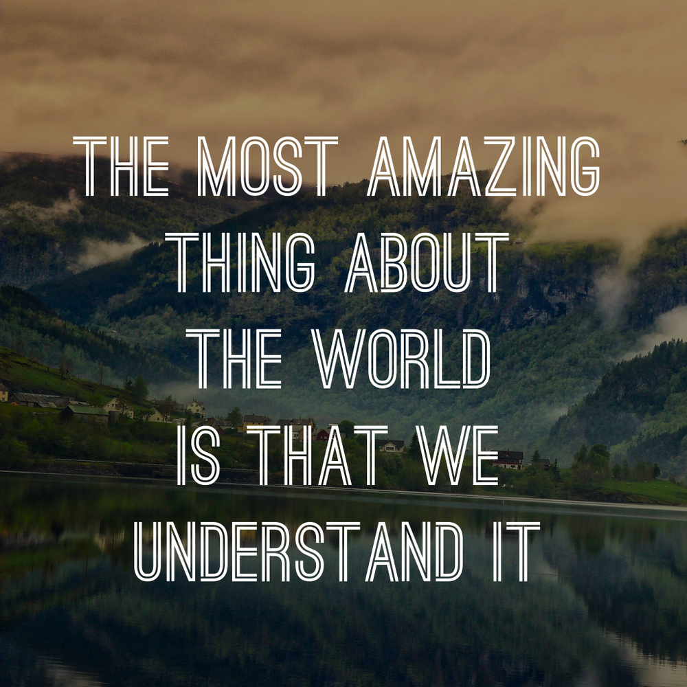 Buy the most amazing thing about the world sticker poster| |Sticker ...