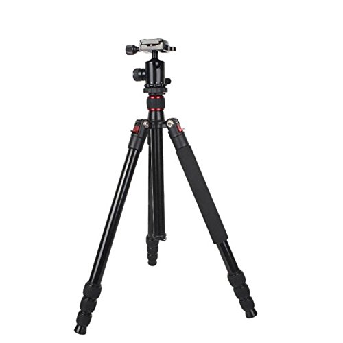 Buy Digitek DTR500BH MultiPurpose Ball Head Tripod Online ₹3750