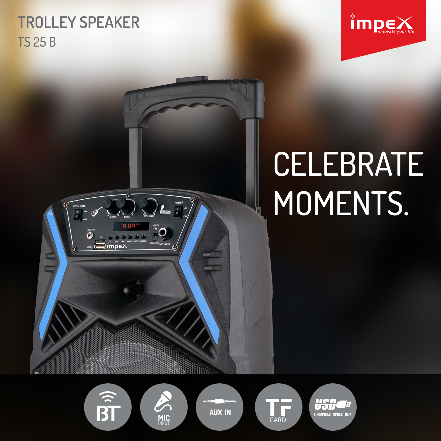 Buy Impex TS 25B Multimedia Trolley Speaker System with USB/FM/AUX/MIC