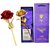 24K Golden Rose  Red Rose Combo Gift Box and Carry Bag
