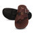Aqualite Men Multicolor Casual Slippers