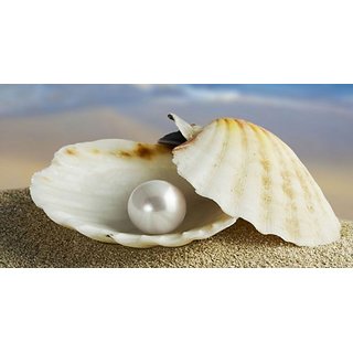 Buy 8 Ratti Pearl GemStone 100 Certified Original Moti Stone