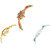 Neutron Brand New Exclusive Peacock, Chain And Flower Dimond Analogue Gold And Silver Color Girls And Women Watch - G120-G337-G339 (Combo Of  3 )