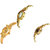 Neutron New Analogue Chain Analogue Gold Color Girls And Women Watch - G115-G265-G114 (Combo Of  3 )
