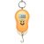 Skycandle Personal Hanging Weight/Weighing Scale/Machine Electric/Digital Portable 50Kg (Capacity) For Kitchen,Home,Luggage