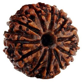                       Natural Rudraksha 11 Mukhi Rudraksha Beads By Ceylonmine                                              