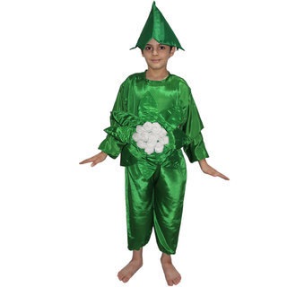 Kaku Fancy Dresses Cauliflower Vegetables Costume Cutout with Cap -Green-White, 3-8 Years, for Boys Girls Kaku Fancy Dresses Cauliflower Vegetables Costume Cutout with Cap -Green-White, 3-8 Years, for Boys Girls