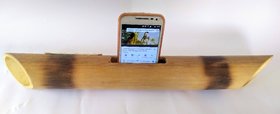 Eboo-Bamboo speaker Amplifier