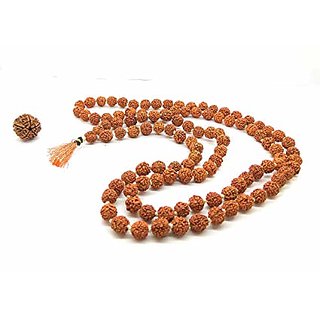                       Original Nepal Rudraksha Mala (108 Rudraksha Beads)-Unisex Daily Wear mala Or Japa Mala                                              