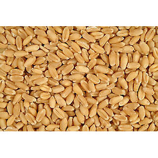 Sharbati Wheat From MP 5 Kg Pack