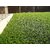 HomeStore-YEP Polyester Grass Mat - 18x24, Green