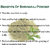 Donnara Organics Bhringraj Powder