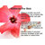 Donnara Organics 100% Pure Hibiscus Powder Face Pack