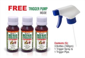Green Dragon's Shooter 3 Bed Bug Killer Concentrate - Make 1800ml Ready to Use