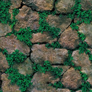 Jaamso Royals Brick Stone with Green grass - Stone Peel and Stick Wallpaper - Self Adhesive Wallpaper - Easily Removable Wallpaper - Use as Wall Paper, Contact Paper, or Shelf Paper(45 X 100 CM)
