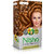 Nisha Cream-Based Hair Color (60gm + 90ml + 18ml Nisha Conditioner with Natural Herbs) (Pack of 1) Honey Blonde 7.3