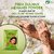 Prem Dulhan Natural Henna Powder 100 Grey Coverage Long Lasting Natural Henna Powder Ammonia Free Net 500gm