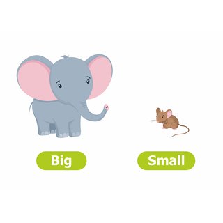 Buy learning big and small meaning with animal Alphabets and numbers ...