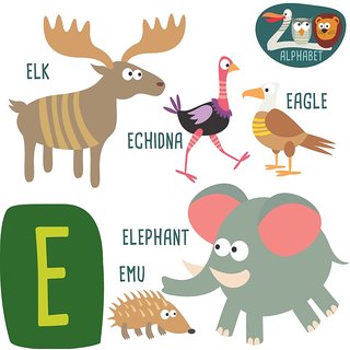 Buy alphabet chart of animal start with e Alphabets and numbers wall ...