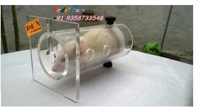 Rat Restrainer - Albino Rat Restrainer Acrylic Transparent