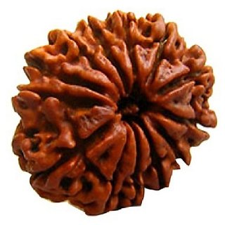 13 Face Rudraksha For Men & Women Original & Certified 13 Mukhi Rudraksha Beads By CEYLONMINE 13 Face Rudraksha For Men & Women Original & Certified 13 Mukhi Rudraksha Beads By CEYLONMINE