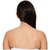 Hipe Stylish Shoulder Bra Straps with Buckles Transparent , Stretchable , Colorless (Pack of 2)