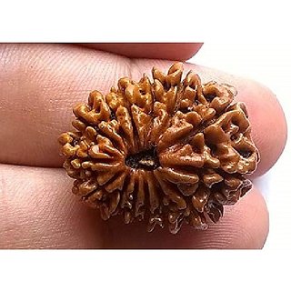 14 Face Rudraksha For Men Women Original Certified 14 Mukhi Rudraksha Beads by CEYLONMINE. 14 Face Rudraksha For Men Women Original Certified 14 Mukhi Rudraksha Beads by CEYLONMINE.