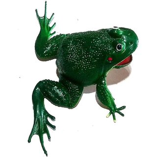 frog rubber toy