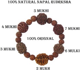 Rudraksha Rudrksh 2 3 4 5 6 7 Mukhi (Face) Beads Mala Wrist band bracelet  Women Men