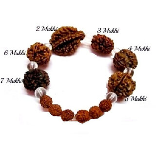 Rudraksha Rudraksh 2 3 4 5 6 7 Mukhi Face Beads Mala Wrist band bracelet