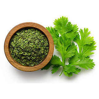                       Raw Dried Cilantro Leaves  (Using Cilantro Leaves as Ingredient)                                              