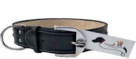 Forever99 Pet Shop pure Leather Dog Collar Black with Padded, XXL-22 TO 26 INCH