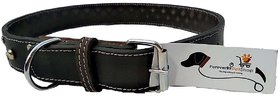 Forever99 Pet Shop pure Leather Dog Collar Black with Padded,Small-12 TO 16 INCH