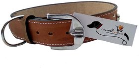Forever99 Pet Shop pure Leather Dog Collar Tan with Padded,Small-12 TO 16 INCH